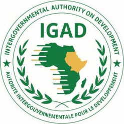 IGAD EMBARKS ON AN AMBITIOUS ROAD MAP FOR VISA-FREE MOVEMENT.